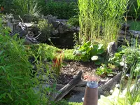 SDC15601.webp