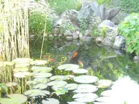 SDC15608.webp