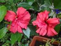 DSC08937.webp