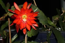 Bild 028.webp