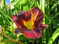 IMG_dominic_1024x768.webp