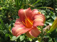 IMG_final touch x fancy colors3_1024x768.webp