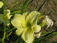 IMG_fragezeichen 15.3_1024x768.webp