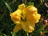 IMG_touch the light_1024x768.webp
