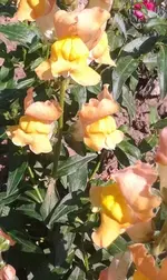 2012-07-25 11.51.48.webp