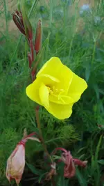 DSC01441.webp