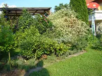 Rhodi-Quartier.webp