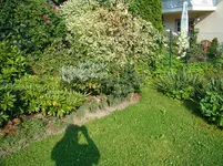 Übergang Rhodi- und Palmlilienquartier.webp