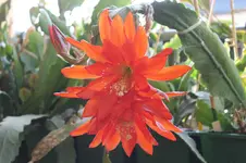 28.juli 003.webp