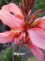 78.webp
