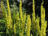 IMG_2745_800x600.webp