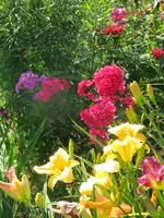 IMG_2822_576x768.webp