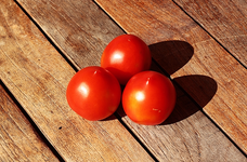 Skabita_smaller.webp