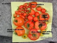 BILD0433.webp