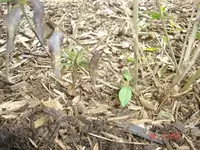 DSC05058.webp