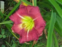 IMG_fragezeichen 41.2_1024x768.webp