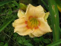 IMG_sä.unbekannt1_1024x768.webp