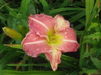 IMG_weiss nicht 1_1024x768.webp