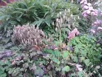 IMG_20120727_171629.webp
