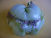 Tomaten 005.webp