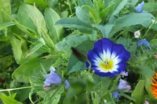 2012_0726Sommer0003.webp