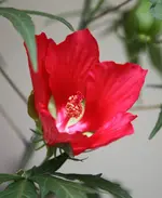 IMG_9725.webp
