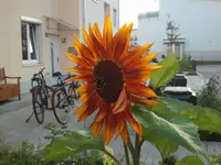 2012-07-27200854.webp