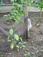 IMG_1893.webp