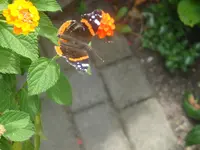 DSC09008.webp