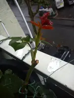 DSC00722.webp