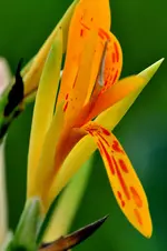 DSC_2035 Kopie.webp