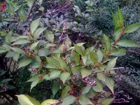 Foto.webp