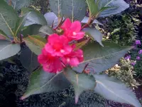 Foto 2.webp