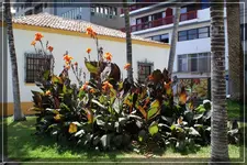 comp_DSC02741.webp