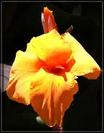 comp_DSC02743.webp