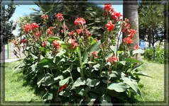 comp_DSC02744.webp