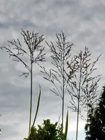 Himmlisch_084.webp