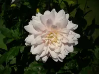 DSCI1644.webp