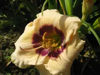 IMG_a 207.1_1024x768.webp