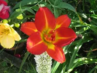 IMG_miracle2_1024x768.webp