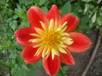 DSC09043.webp
