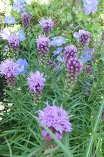 2012_0727Sommer0011.webp