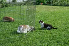 2011-05 bis 07 233.webp