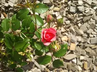 2012-07-29 16.08.08.webp