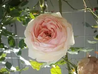 2012-07-29 16.08.19.webp