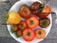 BILD0455.webp
