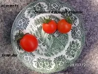 BILD0461.webp
