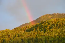 DSC_0217.webp