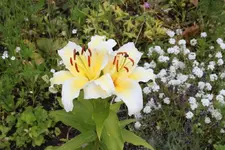 K1024_IMG_9501.webp