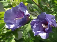 DSCF2122.webp